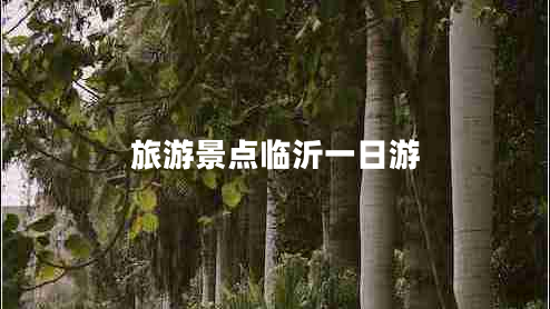 旅游景點(diǎn)臨沂一日游