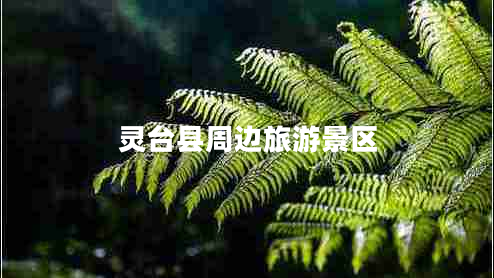 靈臺縣周邊旅游景區(qū)