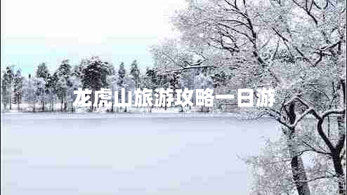 龍虎山旅游攻略一日游