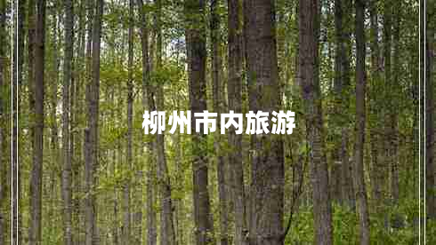 柳州市內(nèi)旅游