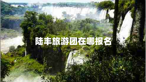 陸豐旅游團(tuán)在哪報(bào)名