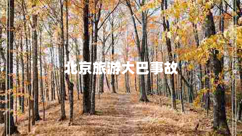 北京旅游大巴事故