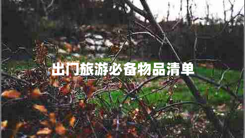 出門(mén)旅游必備物品清單