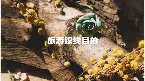 旅游踩線目的 旅游踩線目的