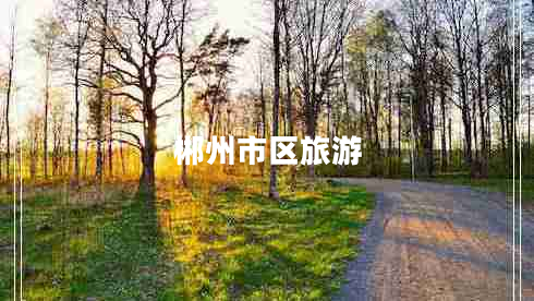 郴州市區(qū)旅游 郴州市區(qū)旅游