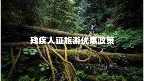 殘疾人證旅游優(yōu)惠政策 殘疾人證旅游優(yōu)惠政策
