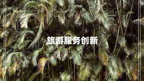 旅游服務(wù)創(chuàng)新