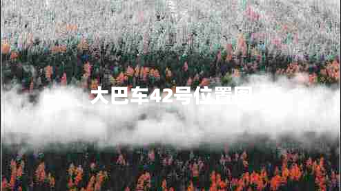 大巴車(chē)42號(hào)位置圖