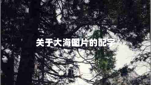 關于大海圖片的配字 關于大海圖片的配字
