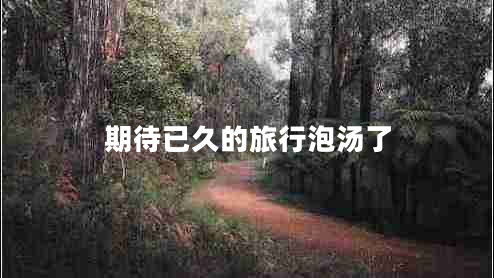 期待已久的旅行泡湯了