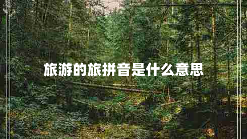 旅游的旅拼音是什么意思 旅游的旅拼音是什么意思