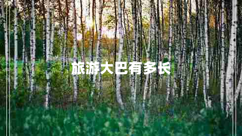 旅游大巴有多長