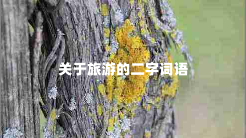 關(guān)于旅游的二字詞語(yǔ)