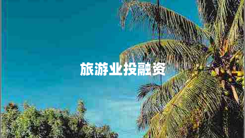 旅游業(yè)投融資