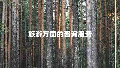 旅游方面的咨詢服務(wù) 旅游方面的咨詢服務(wù)