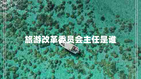 旅游改革委員會主任是誰