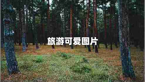 旅游可愛圖片 旅游可愛圖片