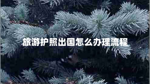 旅游護(hù)照出國怎么辦理流程 旅游護(hù)照出國怎么辦理流程