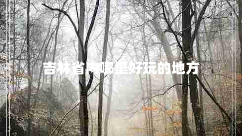 吉林省內(nèi)哪里好玩的地方