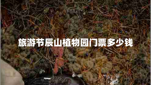旅游節(jié)辰山植物園門票多少錢