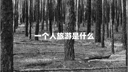 一個(gè)人旅游是什么