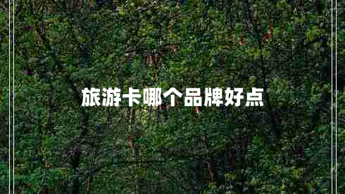 旅游卡哪個品牌好點