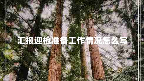 匯報迎檢準備工作情況怎么寫