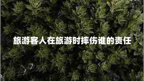 旅游客人在旅游時摔傷誰的責任