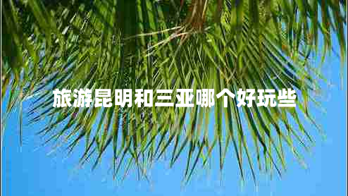 旅游昆明和三亞哪個(gè)好玩些