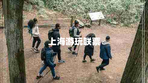 上海游玩聯(lián)票