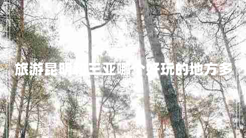 旅游昆明和三亞哪個(gè)好玩的地方多