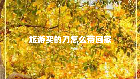 旅游買的刀怎么帶回家