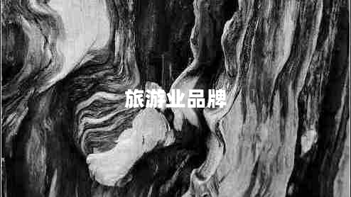 旅游業(yè)品牌