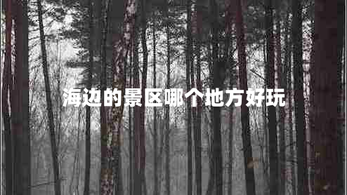 海邊的景區(qū)哪個地方好玩