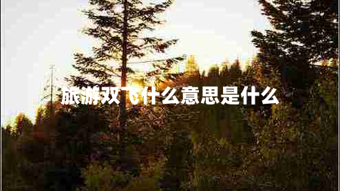 旅游雙飛什么意思是什么