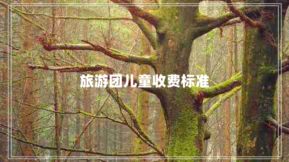 旅游團(tuán)兒童收費標(biāo)準(zhǔn)