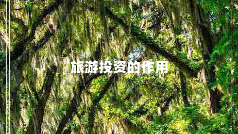 旅游投資的作用