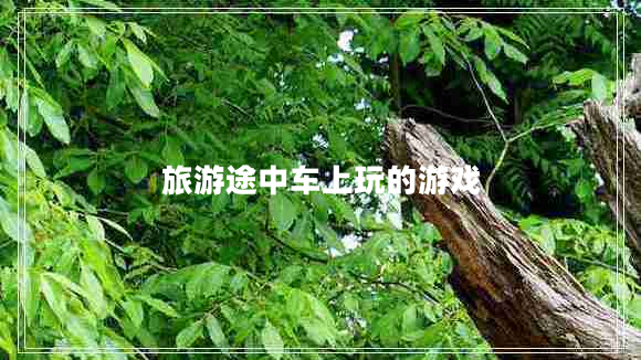 旅游途中車上玩的游戲