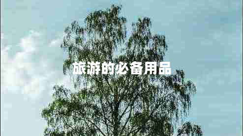 旅游的必備用品