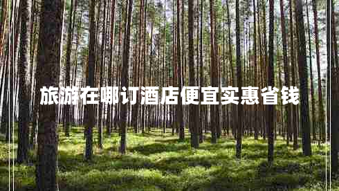 旅游在哪訂酒店便宜實惠省錢