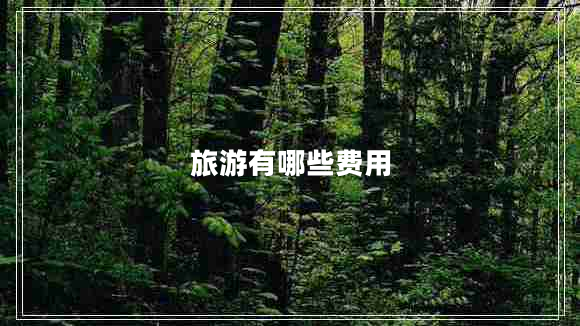 旅游有哪些費用