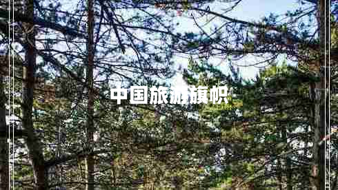 中國(guó)旅游旗幟