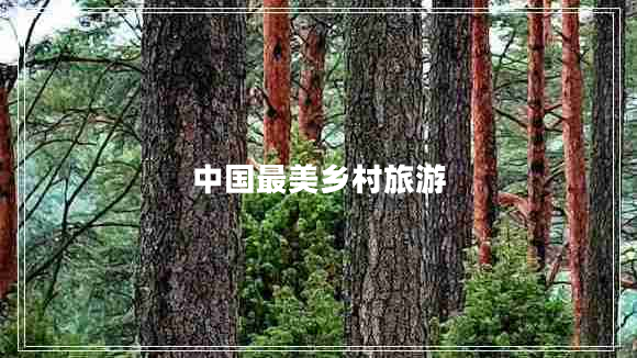 中國(guó)最美鄉(xiāng)村旅游
