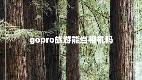 gopro旅游能當(dāng)相機(jī)嗎
