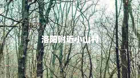 洛陽(yáng)附近小山村