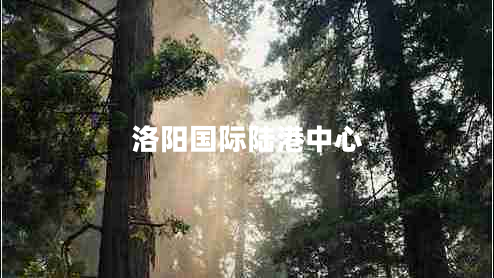 洛陽國際陸港中心