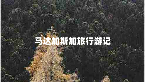 馬達加斯加旅行游記