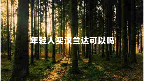 年輕人買漢蘭達可以嗎