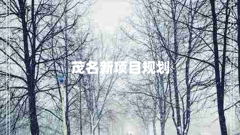 茂名新項目規(guī)劃