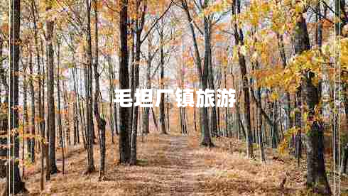 毛坦廠鎮(zhèn)旅游